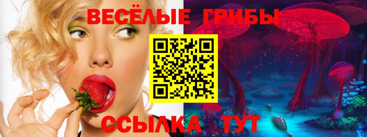 Галлюциногенные грибы Psilocybine cubensis  Галлюциногенные грибы ЛСД  Вход с VPN  Фролово 